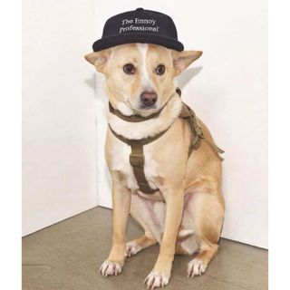 ennoy fleece cap 美品(キャップ)