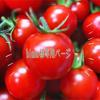 ミニトマト　千果２ｋｇ(野菜)