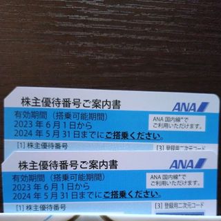 エーエヌエー(ゼンニッポンクウユ)(ANA(全日本空輸))のANA株主優待　2枚(ショッピング)