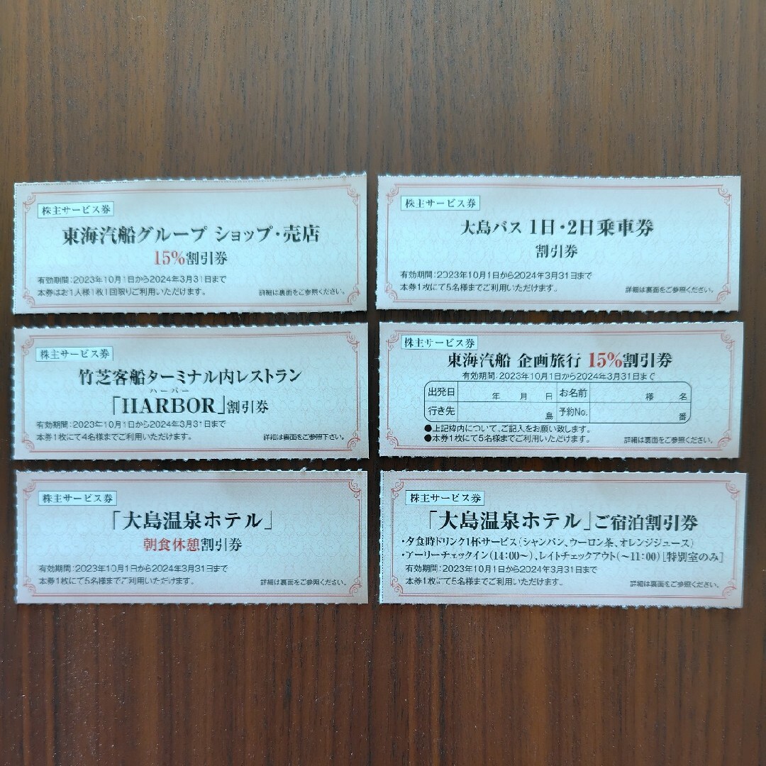 東海汽船株主乗船割引券10枚(1冊) サービス券 チケットの乗車券/交通券(その他)の商品写真