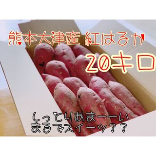 さつまいも 紅はるか 20kg 農家直送 安心安全