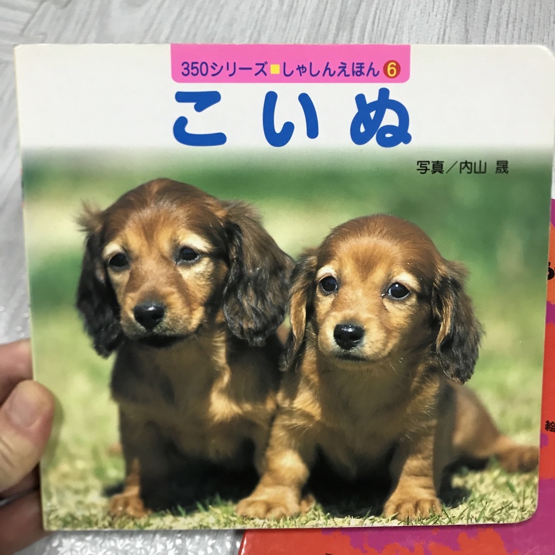 絵本　こいぬ　あいうえおうさま　2冊 エンタメ/ホビーの本(絵本/児童書)の商品写真