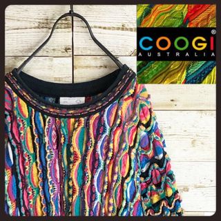 クージー(COOGI)のcoogi クージー 立体 編込み 3Dニット セーター マルチカラー 総柄(ニット/セーター)