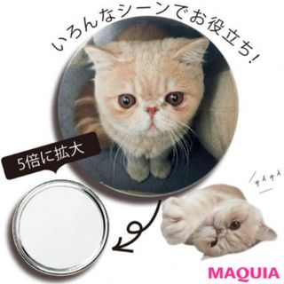 人気猫マッシュ ミラー　ねこちゃん(ミラー)