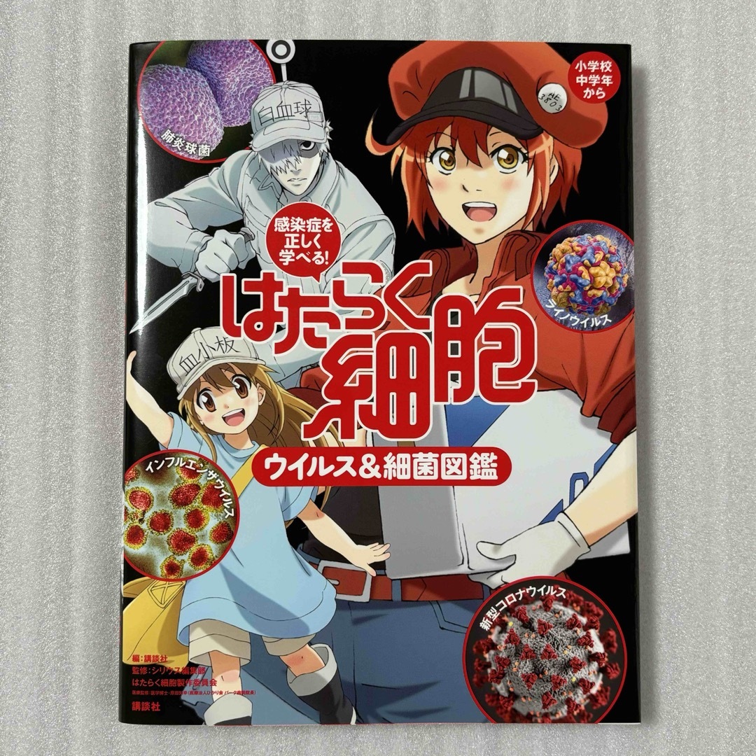 講談社(コウダンシャ)の感染症を正しく学べる！　はたらく細胞　ウイルス＆細菌図鑑 エンタメ/ホビーの本(健康/医学)の商品写真