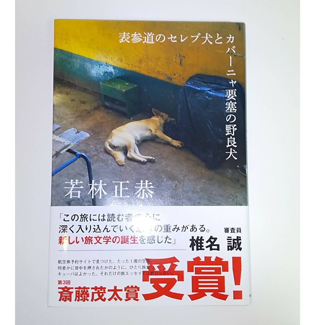 表参道のセレブ犬とカバーニャ要塞の野良犬 エンタメ/ホビーの本(その他)の商品写真