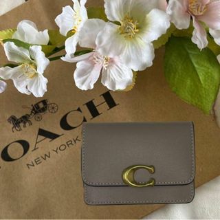 COACH - 未使用品✨COACH カードケース 名刺入れ パンダ レザー