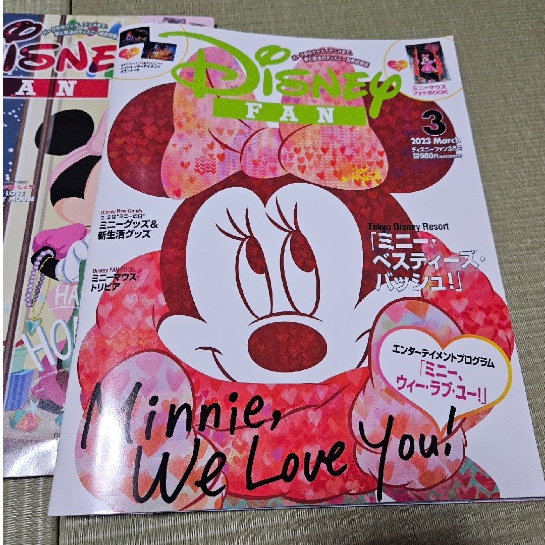 講談社(コウダンシャ)のDisney FAN (ディズニーファン) 2023年 03月号 ほか エンタメ/ホビーの雑誌(その他)の商品写真