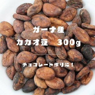 ガーナ産　カカオ豆　生豆300g(コーヒー)