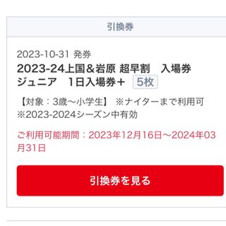 岩原スキー場　上越国際スキー場　1日リフト券 子ども 2枚(スキー場)