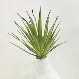 新品未使用 フェイクグリーン 人工観葉植物 ドラセナ ウォールグリーン 造花 枝(その他)