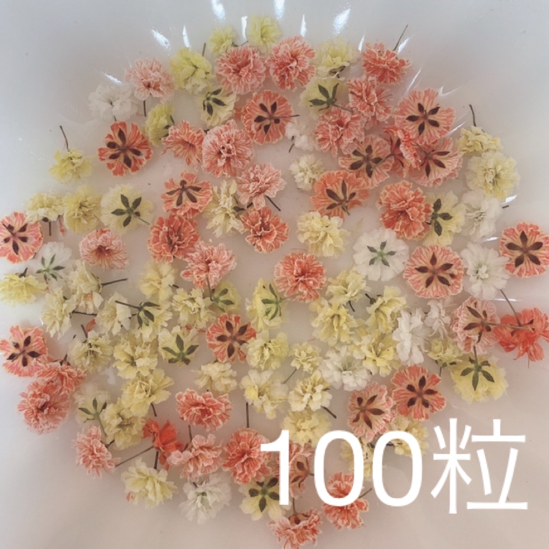 オレンジ系 かすみ草ドライフラワー100粒 ハンドメイドのフラワー/ガーデン(ドライフラワー)の商品写真