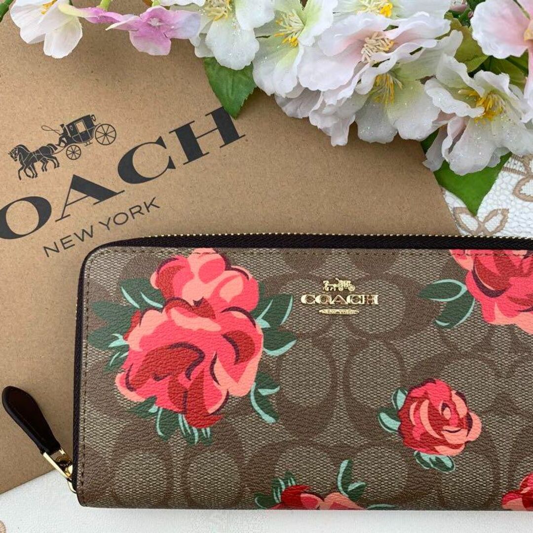 メンズCOACH シグネチャー 赤 フラワー ペイント