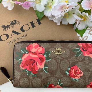 プレゼント♡COACH シグネチャー  ホワイト × ピンク ローズ ペイント