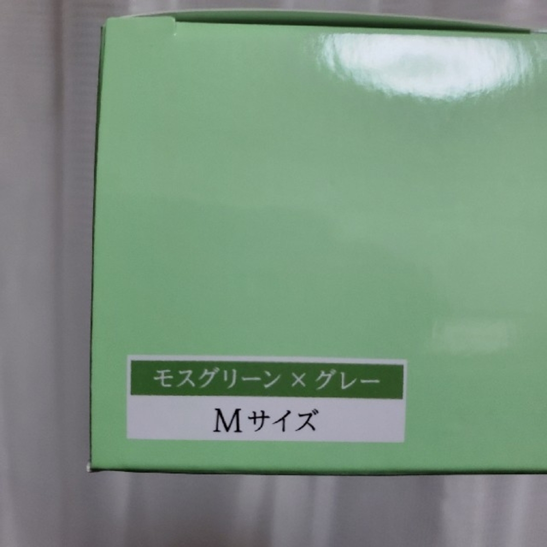 VIAGE(ヴィアージュ)のVIAGE ビューティーアップナイトブラモスグリーン×グレーM　新品 レディースの下着/アンダーウェア(その他)の商品写真