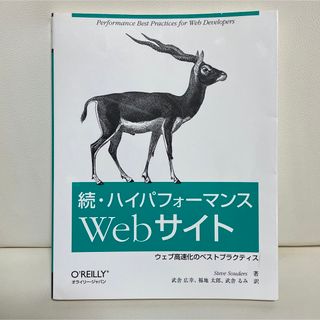 続・ハイパフォーマンスWebサイト ウェブ高速化のベストプラクティス(コンピュータ/IT)