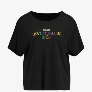 リーバイス(Levi's)のLevi's ロゴ Tシャツ レディース S相当(Tシャツ(半袖/袖なし))