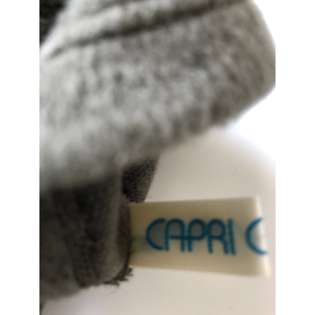 CAPRi(カプリ)のファー付き手袋 レディースのファッション小物(手袋)の商品写真