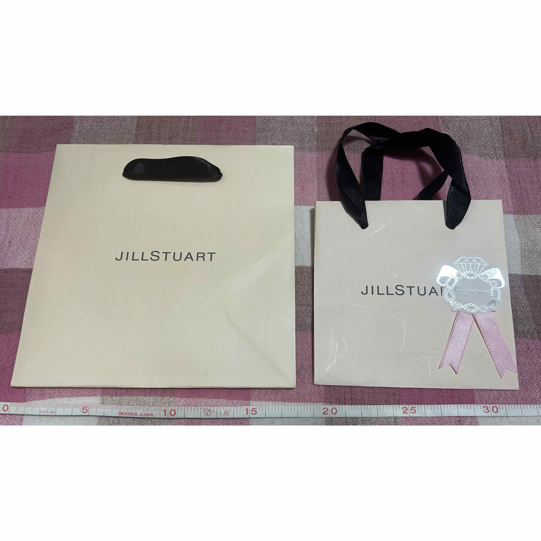 JILLSTUART(ジルスチュアート)のJILLSTUART/紙袋 レディースのバッグ(ショップ袋)の商品写真