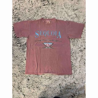 ラッセルアスレティック(Russell Athletic)のシングルスティッチ SEQUOIA national park ヴィンテージ T(Tシャツ/カットソー(半袖/袖なし))