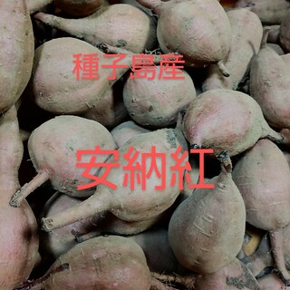 種子島産安納紅2S・Sサイズ混合1キロ(野菜)