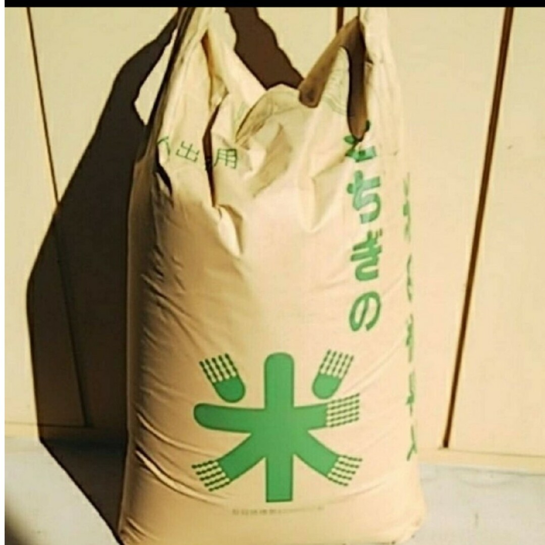スギミチ様専用🍚米 食品/飲料/酒の食品(米/穀物)の商品写真