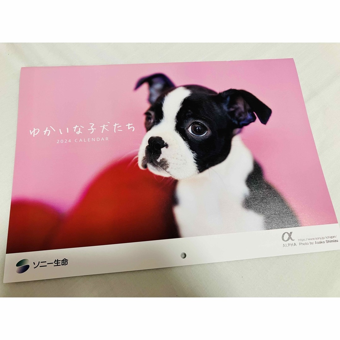 SONY(ソニー)のソニー生命　ゆかいな子犬たち　2024カレンダー 壁掛けカレンダー インテリア/住まい/日用品の文房具(カレンダー/スケジュール)の商品写真