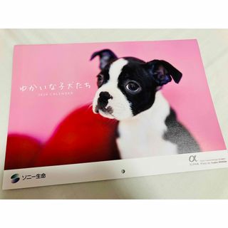 ソニー(SONY)のソニー生命　ゆかいな子犬たち　2024カレンダー 壁掛けカレンダー(カレンダー/スケジュール)