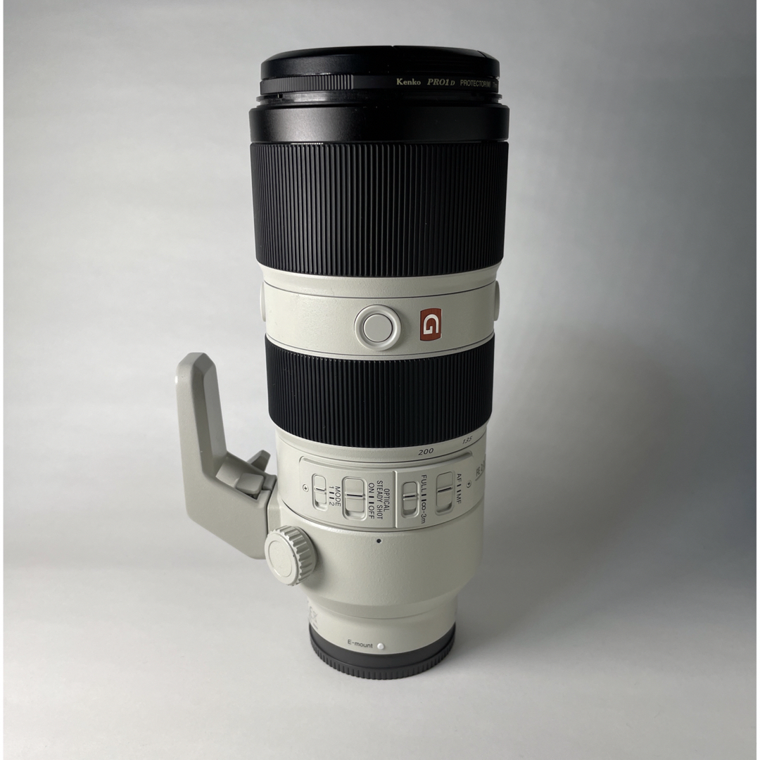 カメラSONY FE 70-200mm F2.8 GM OSS