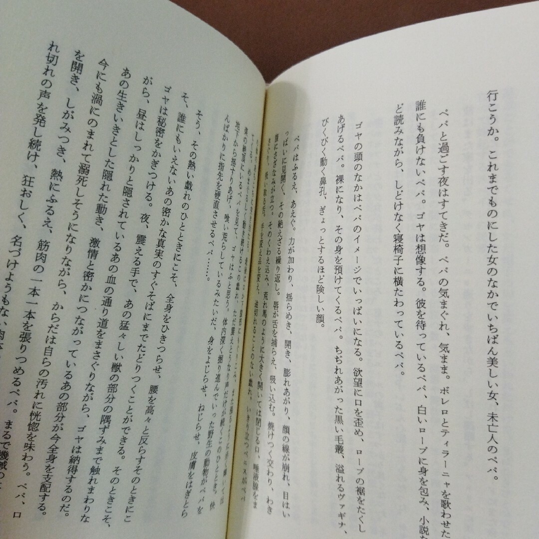 「サド、ゴヤ、モーツァルト : 7月14日」高橋 啓 / Guy Scarpe エンタメ/ホビーの雑誌(アート/エンタメ/ホビー)の商品写真