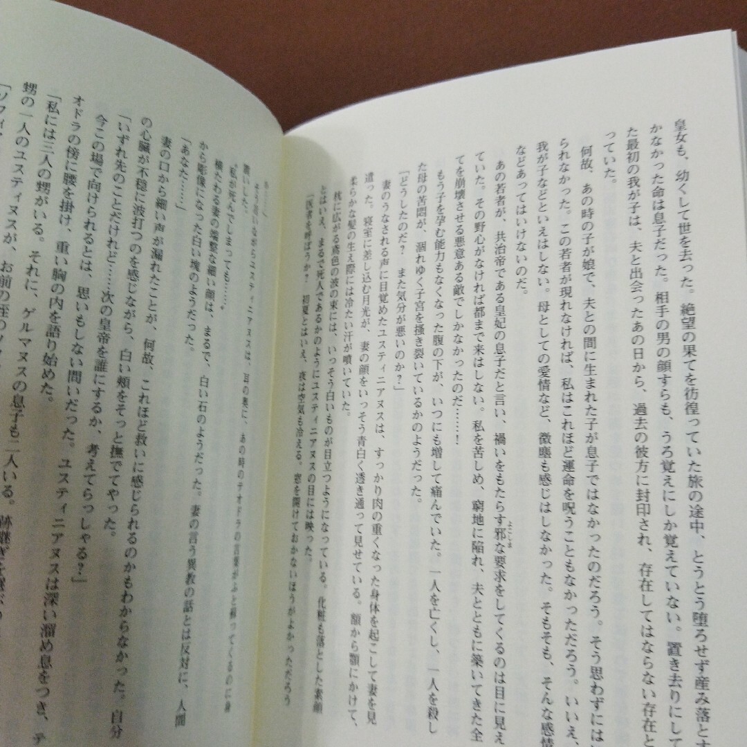 「最後のローマ皇帝 : 大帝ユスティニアヌスと皇妃テオドラ」野中 恵子 エンタメ/ホビーの本(文学/小説)の商品写真