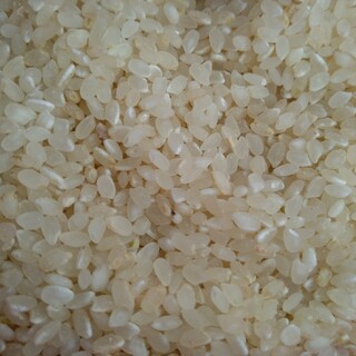 ブレンド精米  (令和５年産)         24Kg(米/穀物)