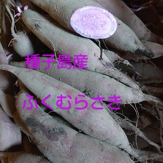 種子島産　ふくむらさき2S~Lサイズ混合3キロ(野菜)
