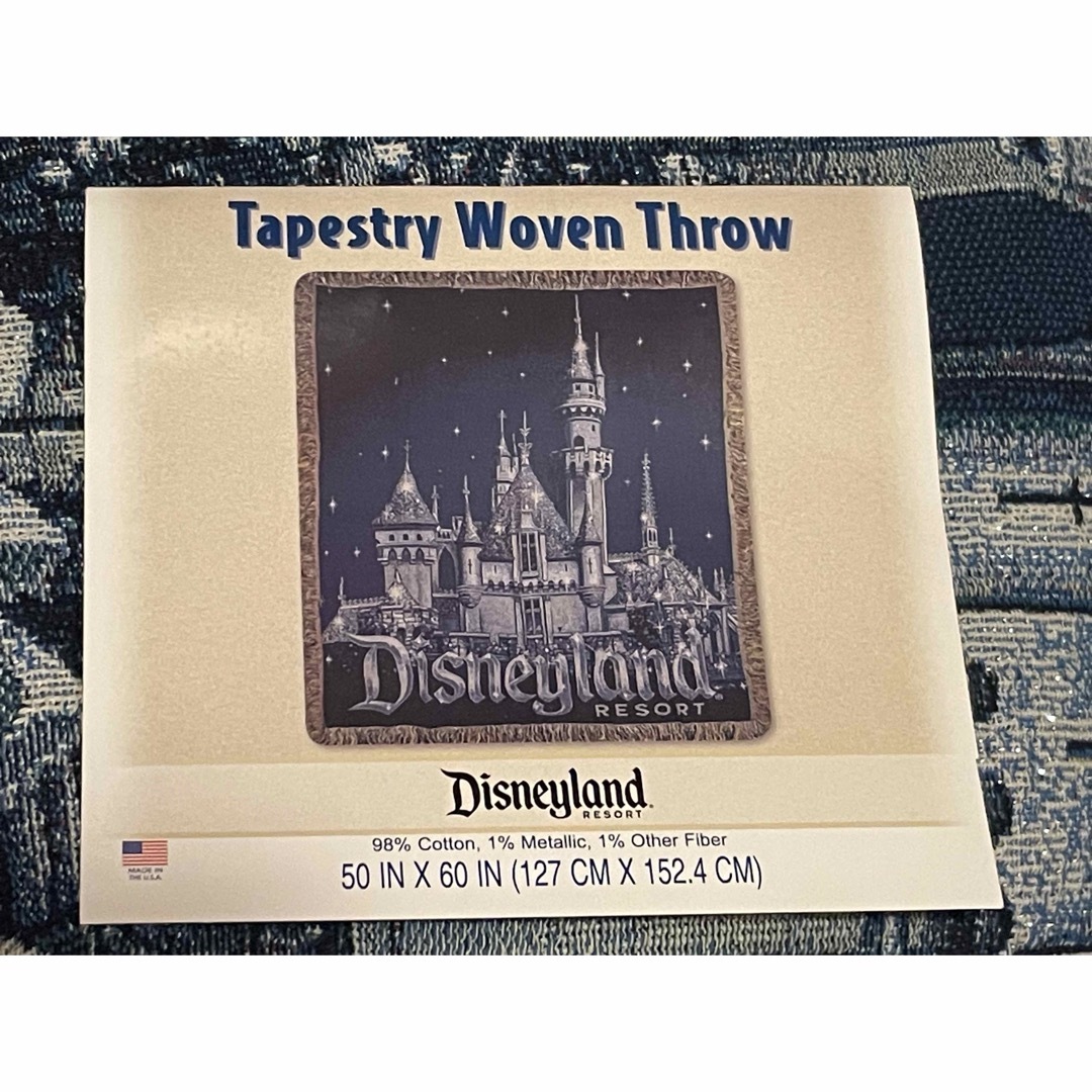 Disney(ディズニー)のディズニー　ディズニーランド　海外　アメリカ　タペストリー　新品　未使用　限定 エンタメ/ホビーの美術品/アンティーク(絵画/タペストリー)の商品写真