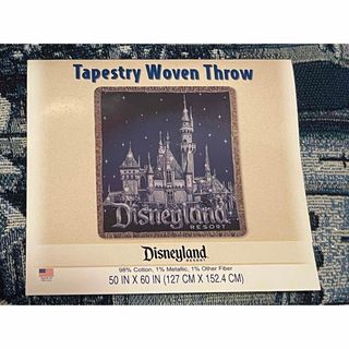 ディズニー(Disney)のディズニー　ディズニーランド　海外　アメリカ　タペストリー　新品　未使用　限定(絵画/タペストリー)