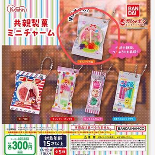 バンダイ(BANDAI)のお菓子　ミニチュアチャーム　ガチャ(キーホルダー)