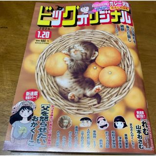 ショウガクカン(小学館)のビッグコミックオリジナル　2024年1月20日号(漫画雑誌)