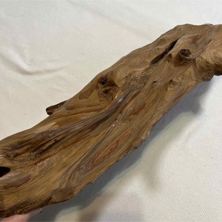 天然木 乾燥 素材 インテリア 爬虫類