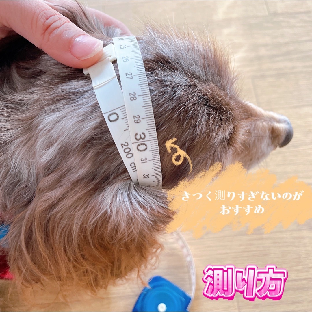 犬用スヌード「しゅぽん」1 ハンドメイドのペット(ペット服/アクセサリー)の商品写真