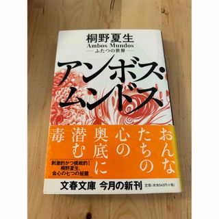 アンボス•ムンドス　ふたつの世界　桐野夏生(文学/小説)