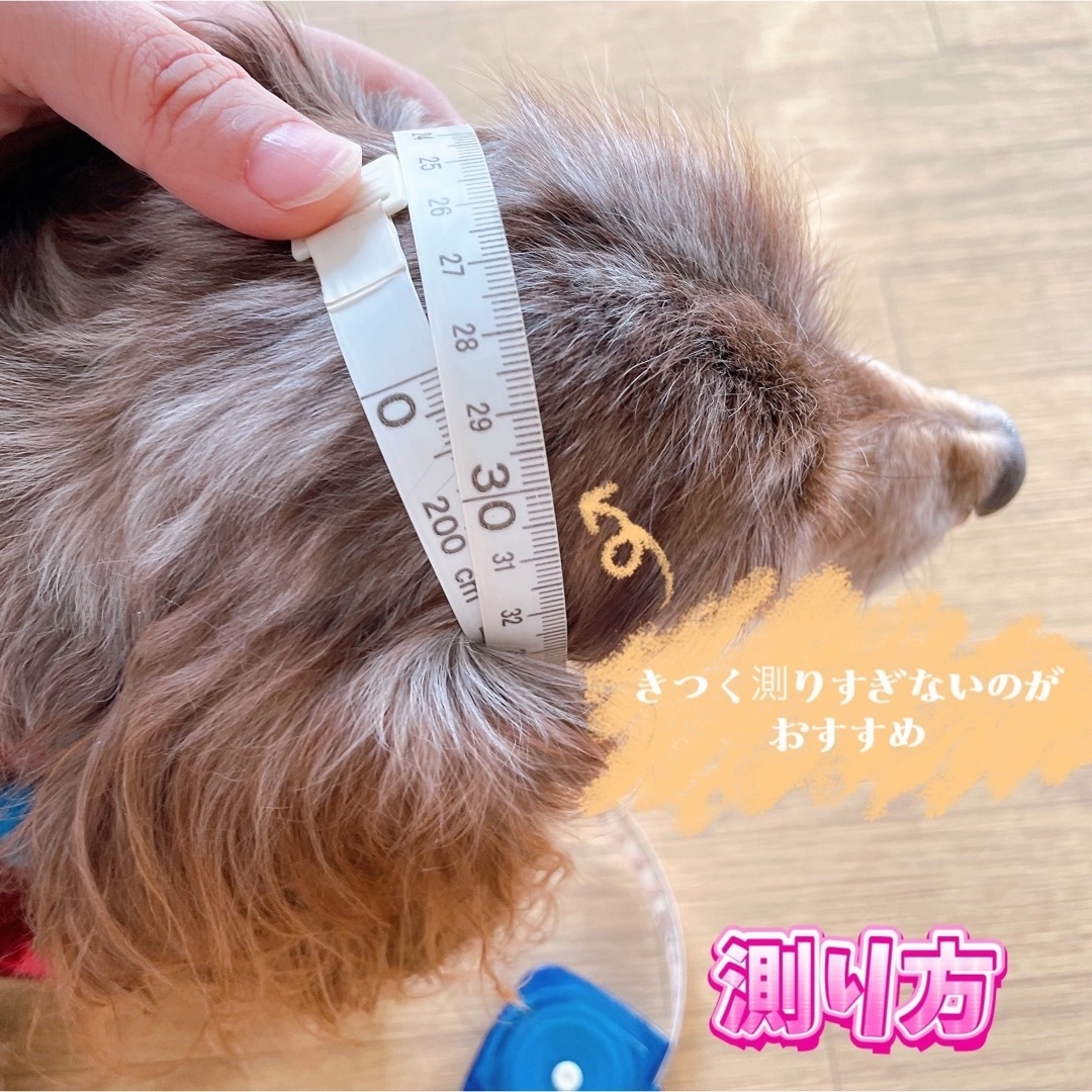 犬用スヌード「しゅぽん」8 ハンドメイドのペット(ペット服/アクセサリー)の商品写真