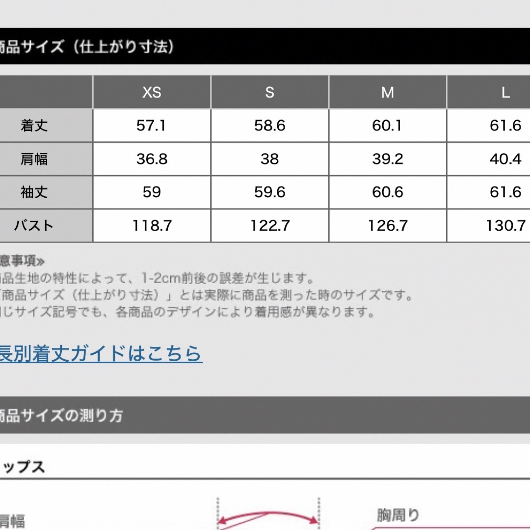 PLST(プラステ)のプラステ　Vネックタックブラウス  M  レディースのトップス(シャツ/ブラウス(長袖/七分))の商品写真