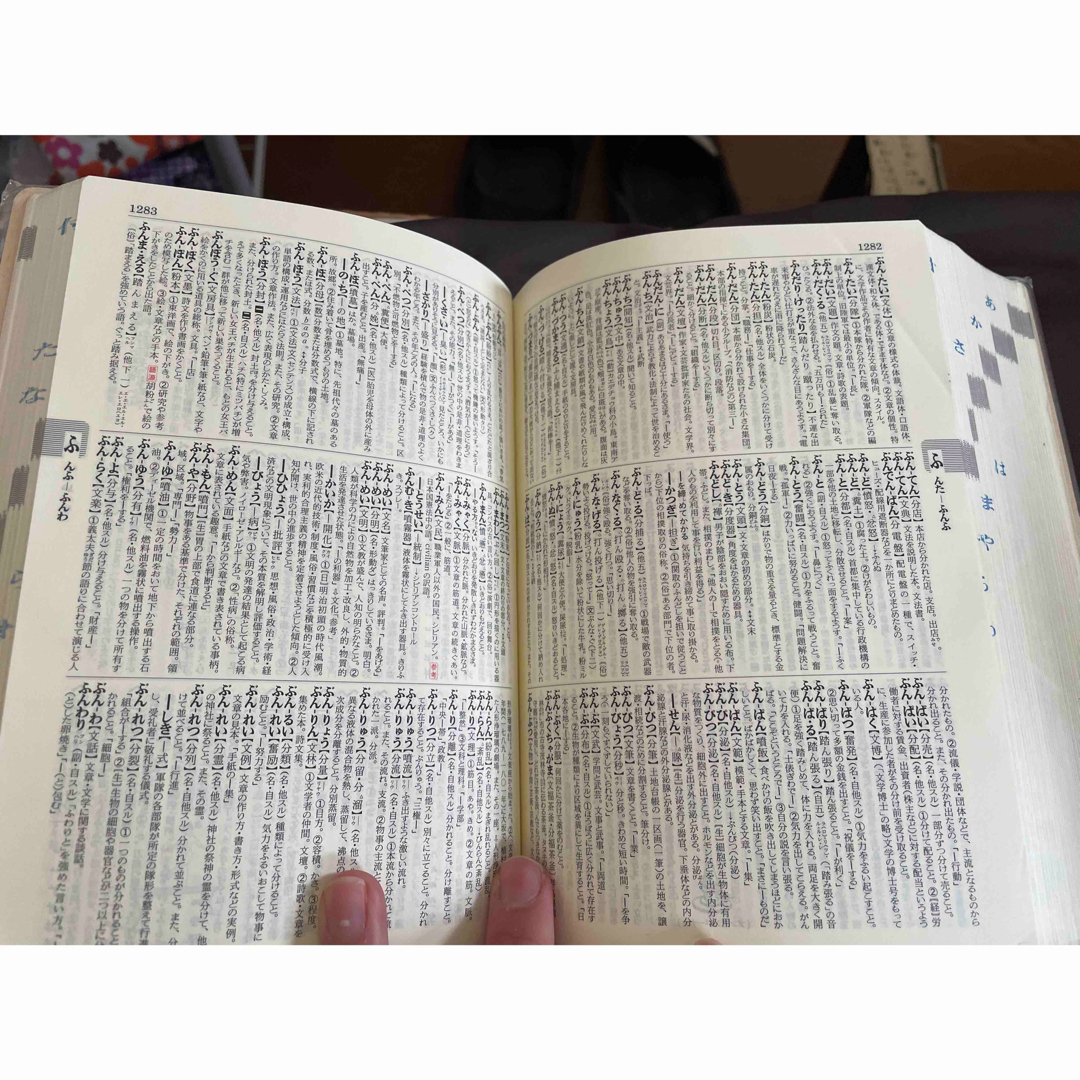 旺文社(オウブンシャ)の旺文社国語辞典 エンタメ/ホビーの本(語学/参考書)の商品写真