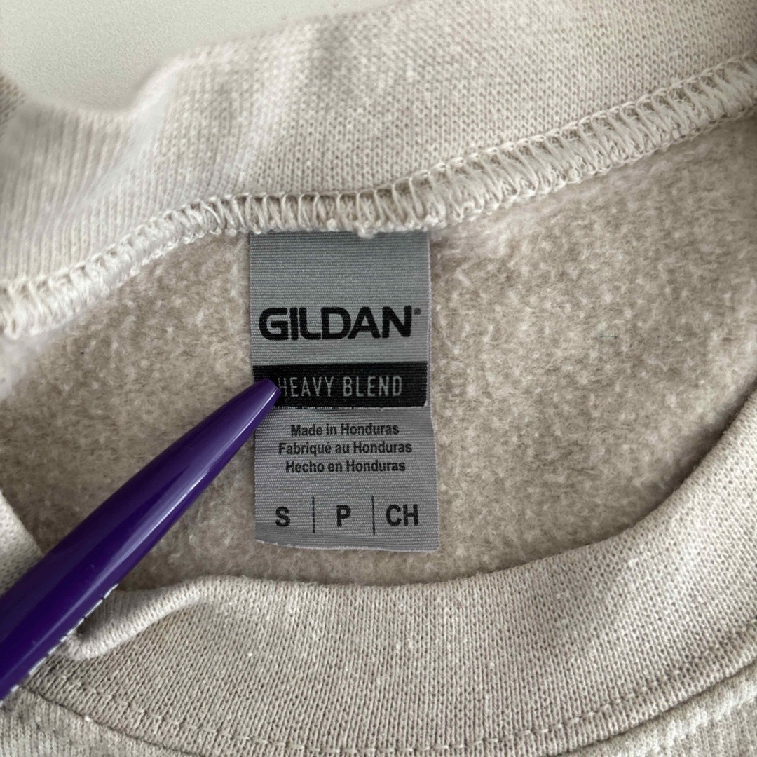 GILDAN(ギルタン)のGILDAN古着スウェットLakeland Floridaフロリダ白鳥プリント メンズのトップス(スウェット)の商品写真