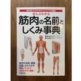 ぜんぶわかる骨・筋肉の名前としくみ事典セット(健康/医学)