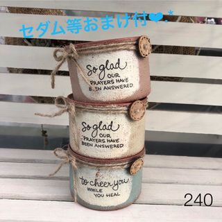 リメイク缶240☆多肉植物☆寄せ植え☆インテリア(その他)