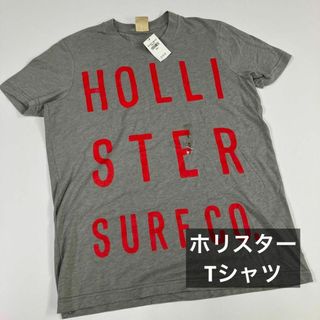 ホリスター(Hollister)のリスター　プリント　Tシャツ　グレー　古着女(Tシャツ/カットソー(半袖/袖なし))