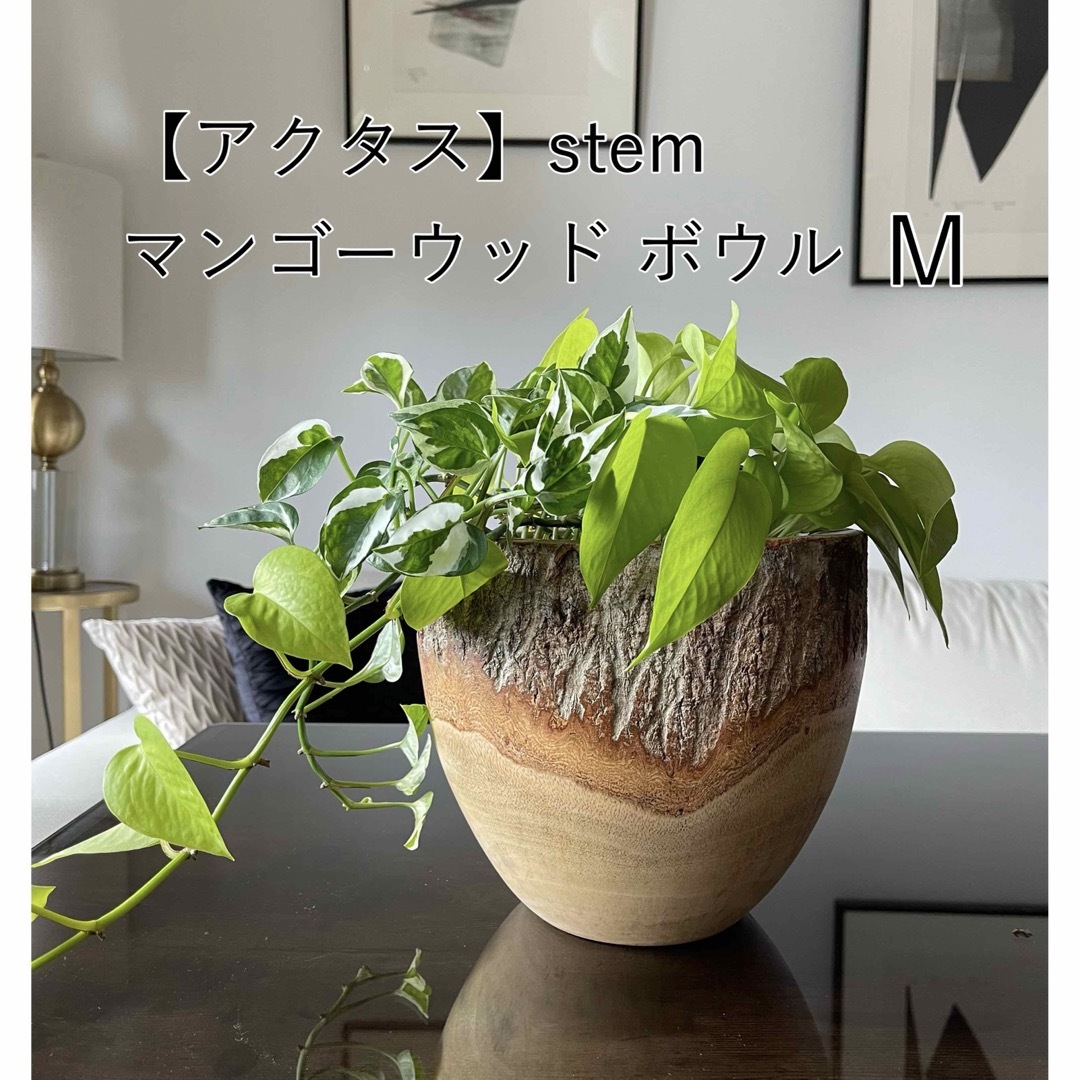 アクタス】stem マンゴーウッド ボウル (4号鉢) Mサイズの通販 アクタス】stem マンゴーウッド ボウル (4号鉢) Mサイズの通販