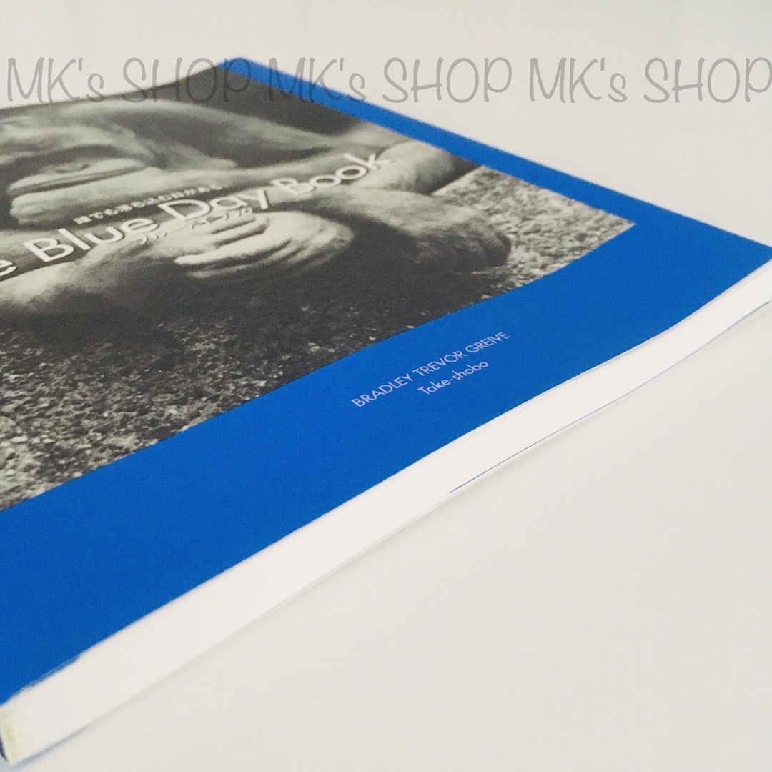 The Blue Day Book ブルーデイブック エンタメ/ホビーの本(アート/エンタメ)の商品写真