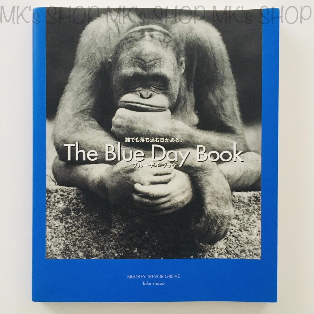 The Blue Day Book ブルーデイブック エンタメ/ホビーの本(アート/エンタメ)の商品写真